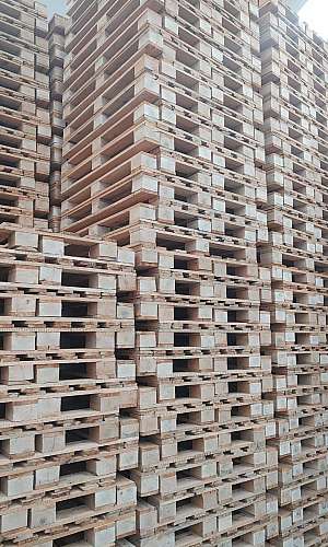 indústria de paletes de madeira